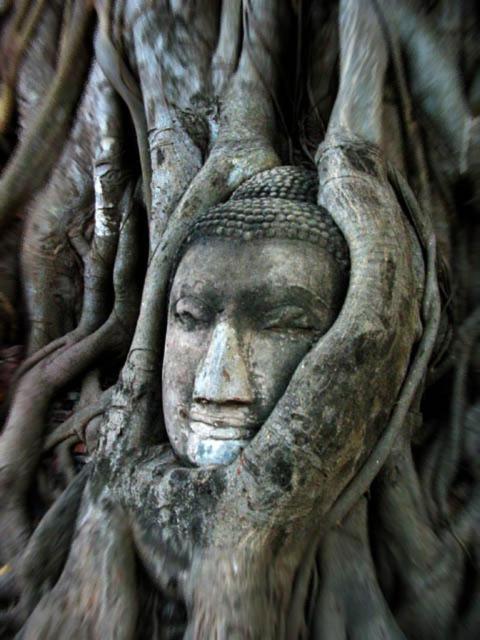 Somjai Place Ayutthaya Eksteriør billede